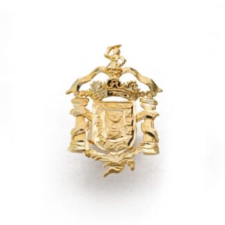 18K ESCUDO INSIGNIA MELILLA ORO AMARILLO ( ESPAÑA ) 20X14 MM