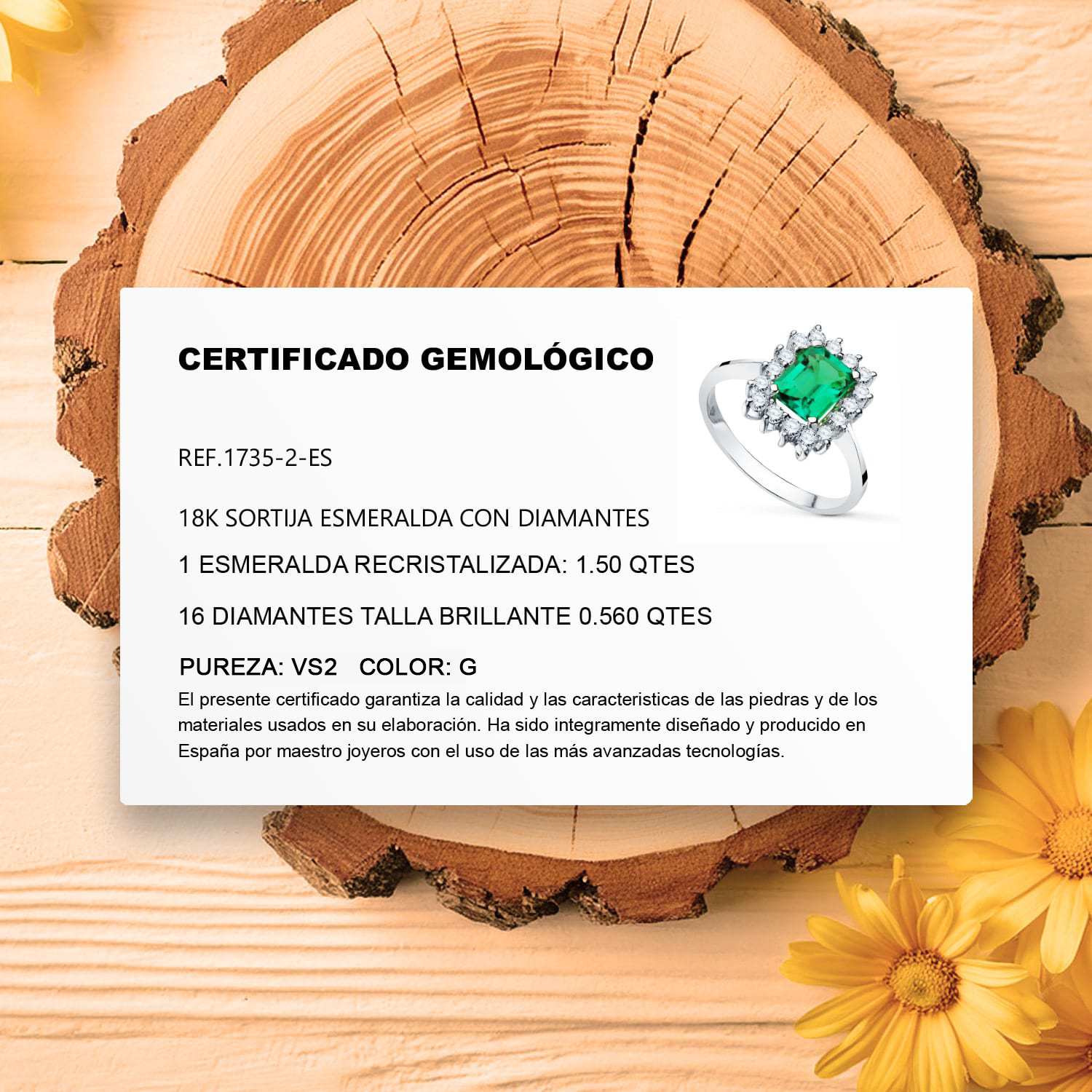 c1735-2-esa